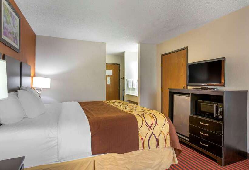 ホテル Rodeway Inn