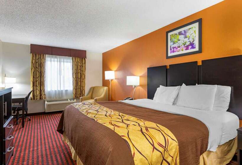 ホテル Rodeway Inn