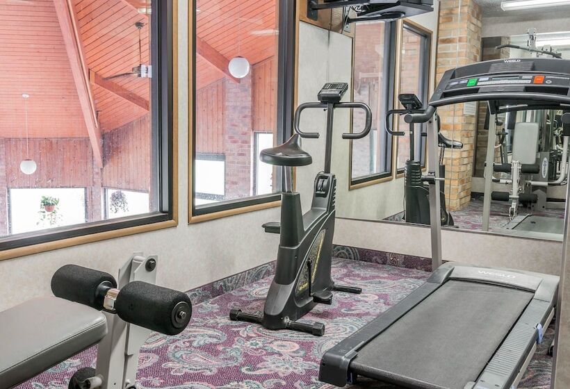 ホテル Rodeway Inn