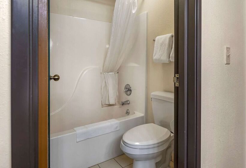 ホテル Rodeway Inn