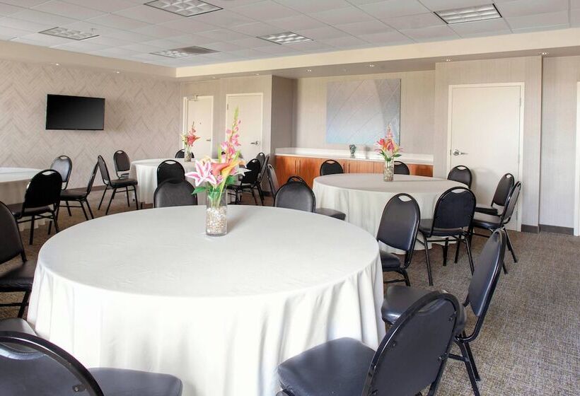 בית מלון כפרי Springhill Suites Cincinnati North Forest Park