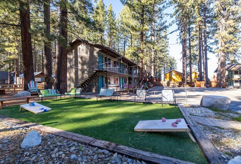 酒店 The Alder Inn