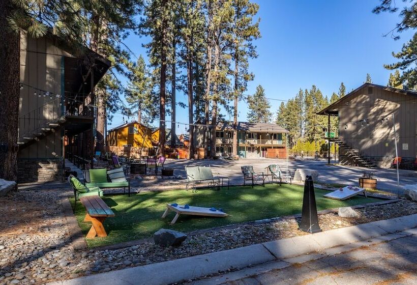 酒店 The Alder Inn