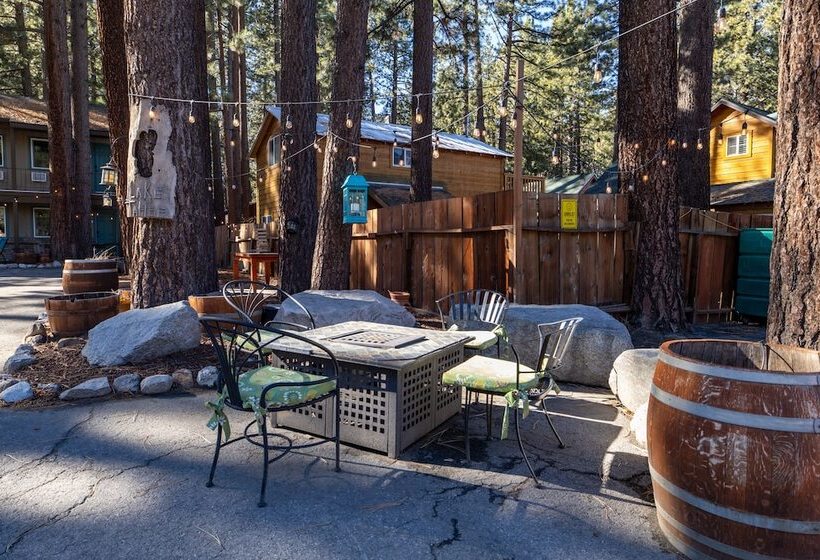 酒店 The Alder Inn