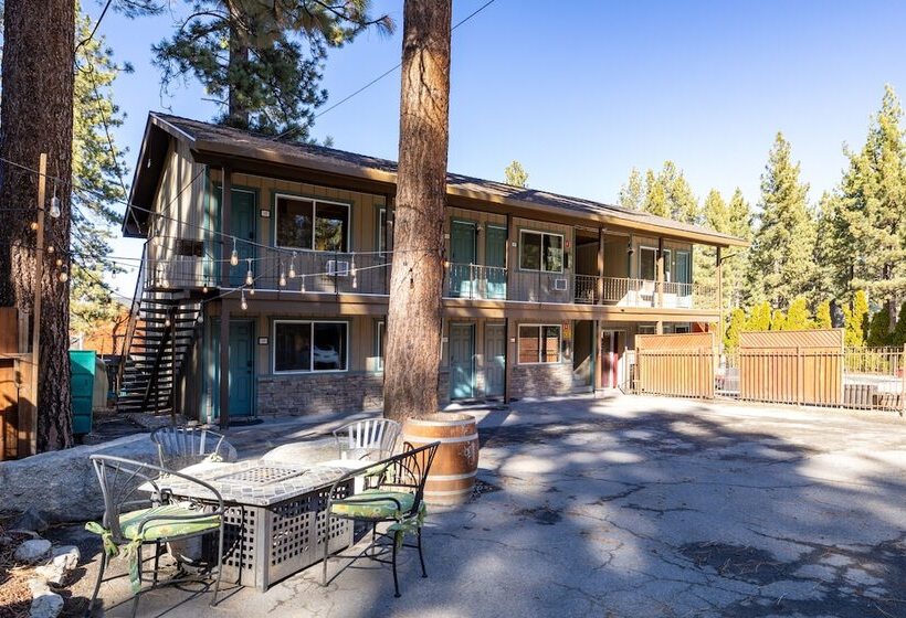 酒店 The Alder Inn