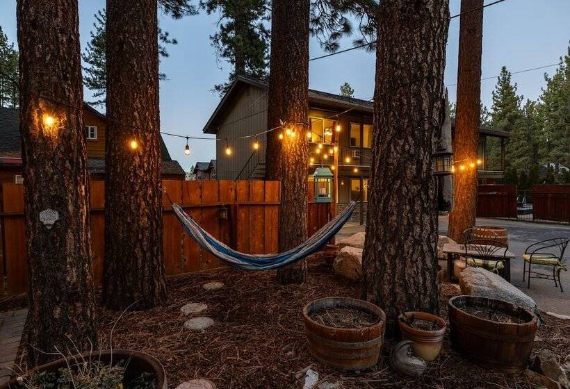 酒店 The Alder Inn