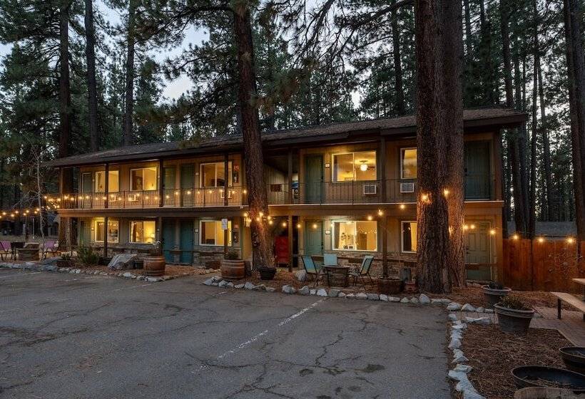 酒店 The Alder Inn