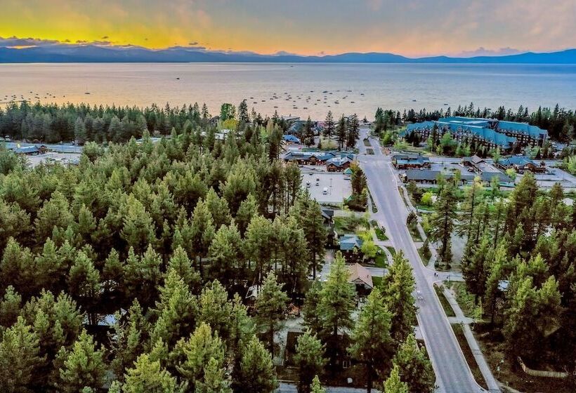 酒店 The Alder Inn