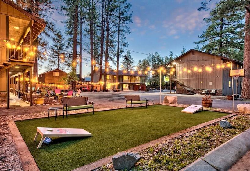 酒店 The Alder Inn