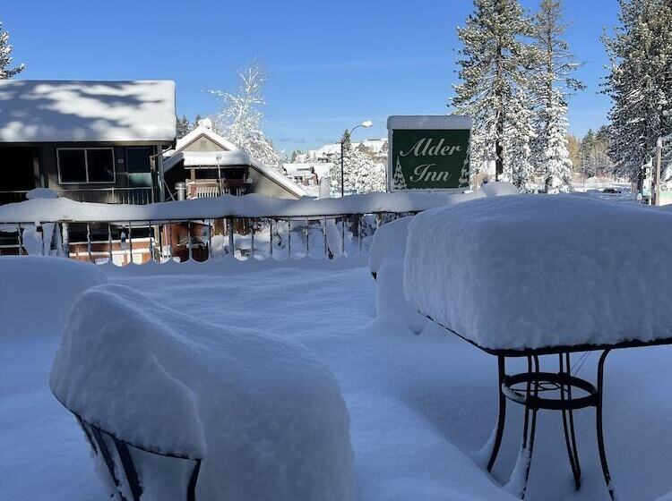 酒店 The Alder Inn