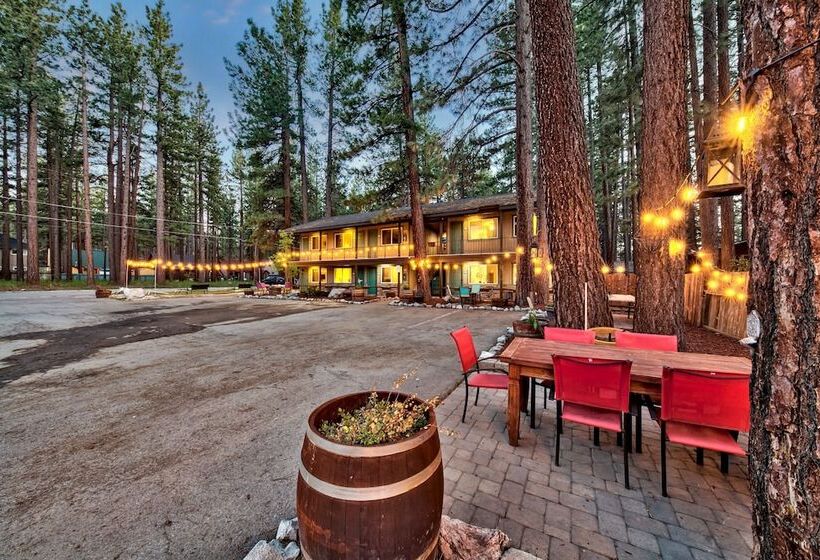 酒店 The Alder Inn