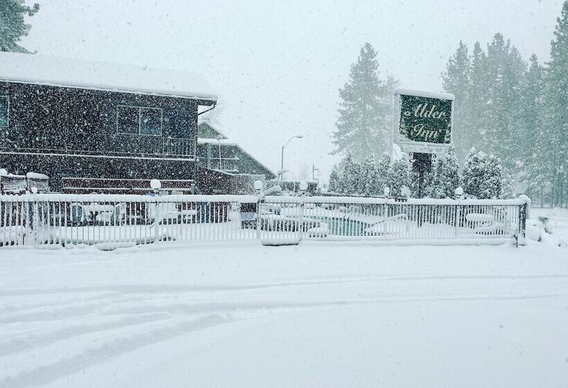 酒店 The Alder Inn