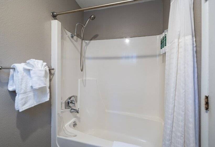 酒店 The Alder Inn