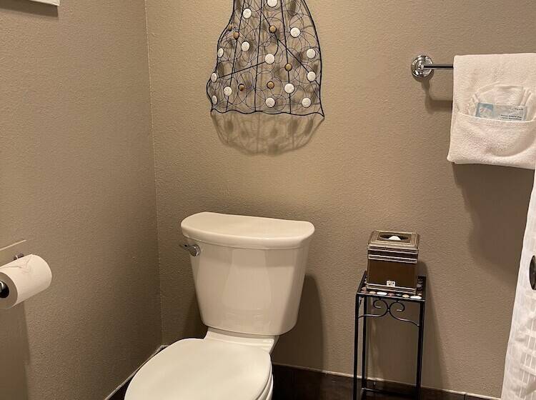 酒店 The Alder Inn