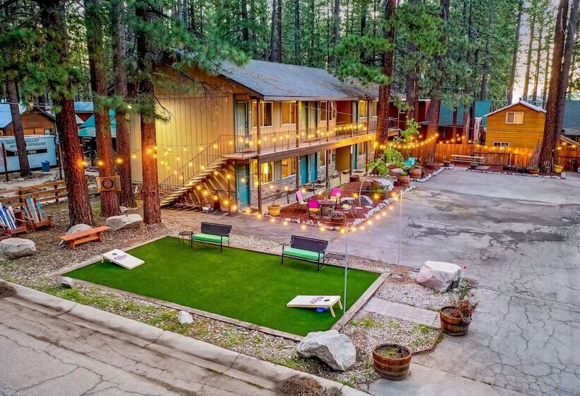 酒店 The Alder Inn