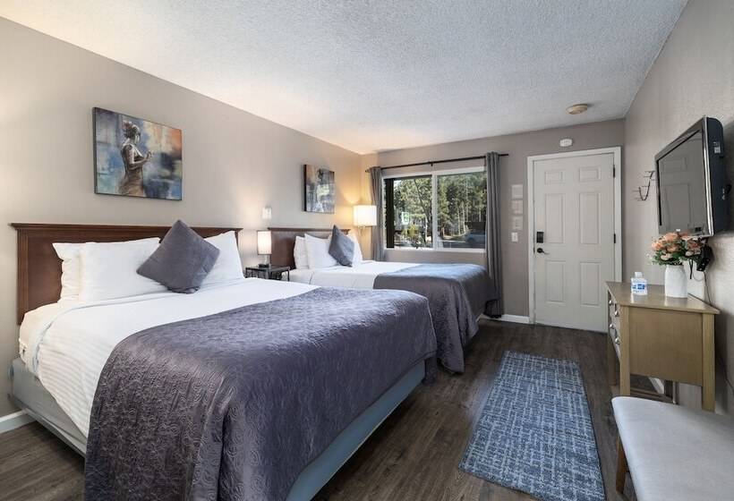 酒店 The Alder Inn