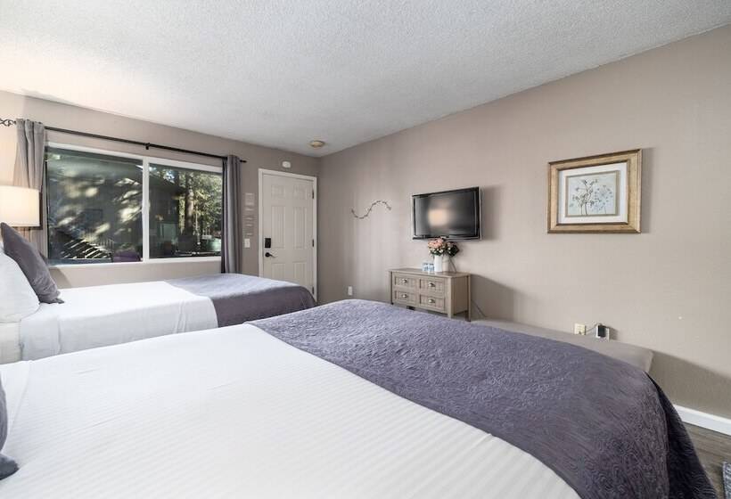 酒店 The Alder Inn