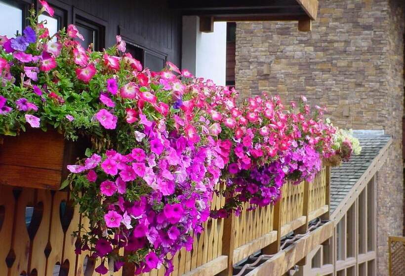 فندق The Alpenhof