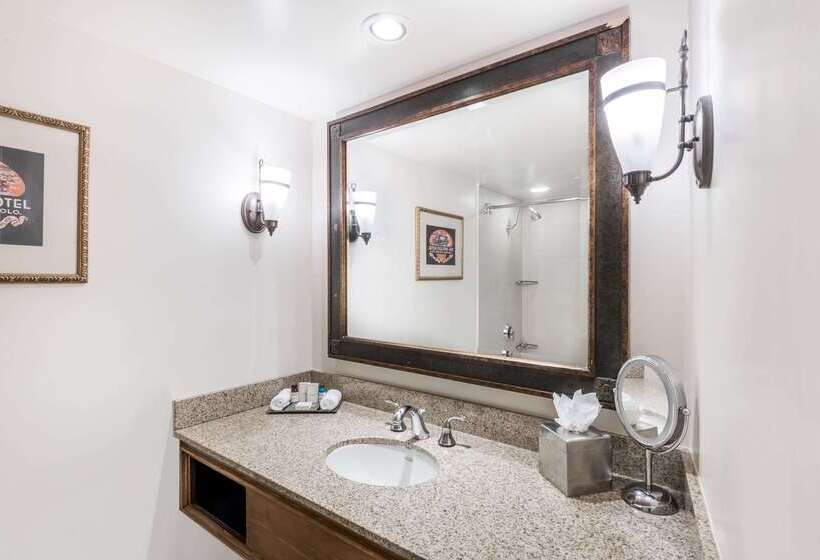 فندق The Antlers, A Wyndham