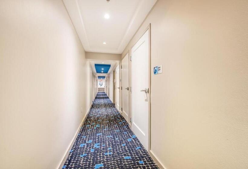 酒店 The Landon Bay Harbor Miami Beach