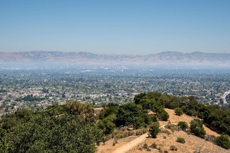 هتل Wild Palms, A Jdv By Hyatt