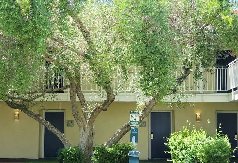 فندق Wild Palms, A Jdv By Hyatt