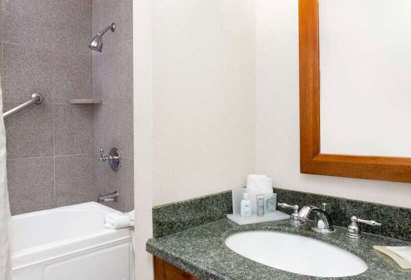 هتل Wyndham Garden Baronne Plaza