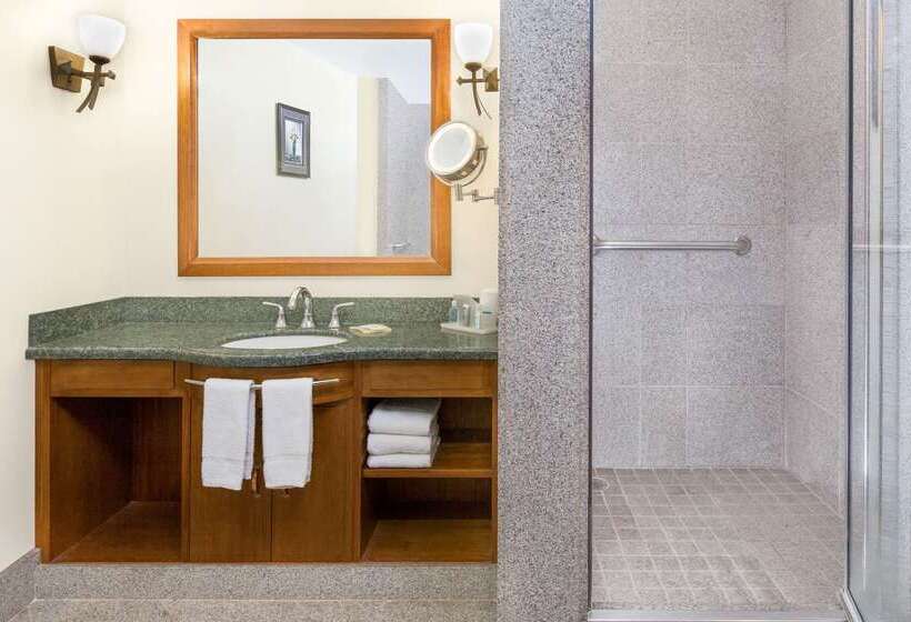 هتل Wyndham Garden Baronne Plaza