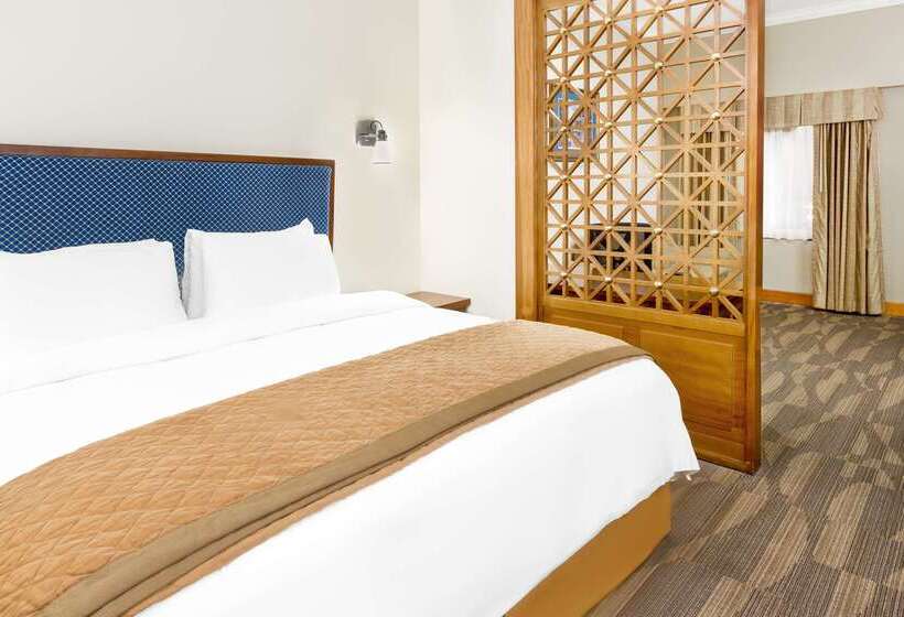 هتل Wyndham Garden Baronne Plaza