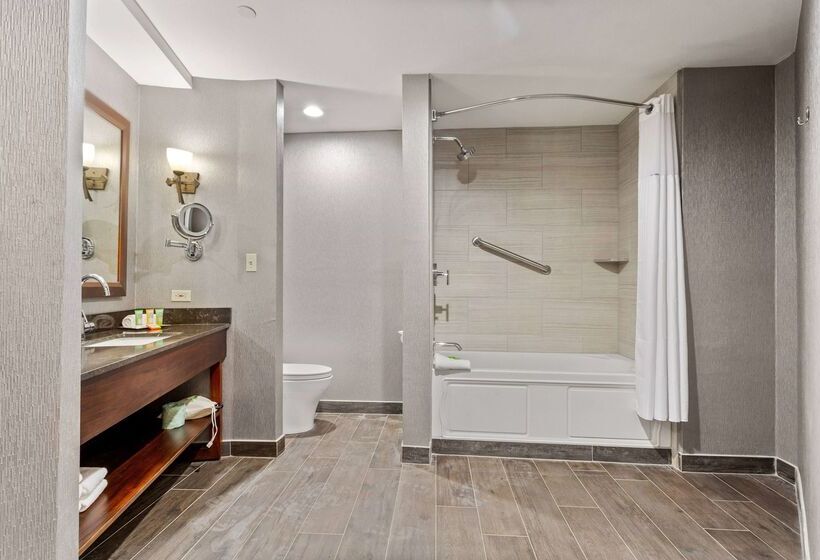 هتل Wyndham Garden Baronne Plaza