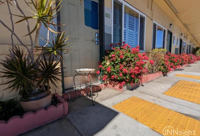 汽车旅馆 Deluxe Inn