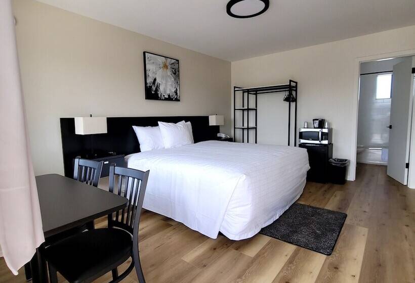 모텔 Richland Inn And Suites