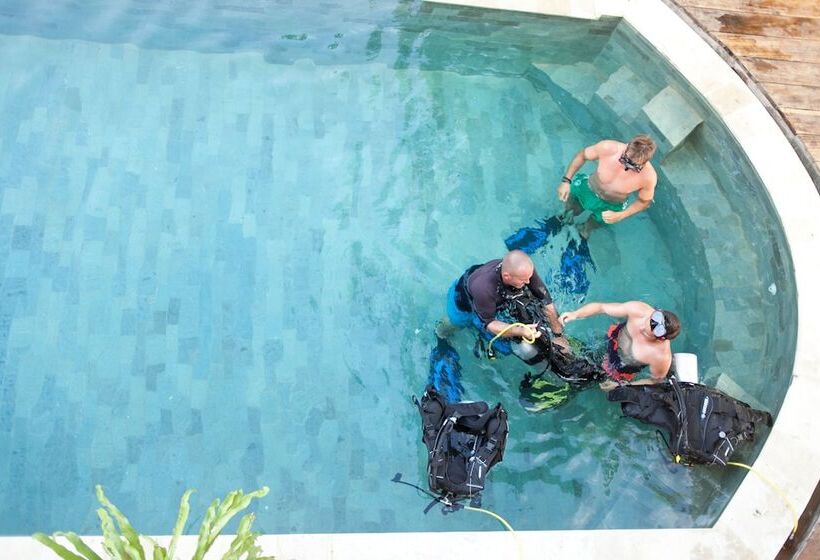 旅馆 Dragon Dive Komodo Dive Resort