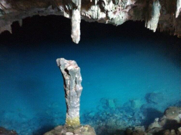 旅馆 Dragon Dive Komodo Dive Resort