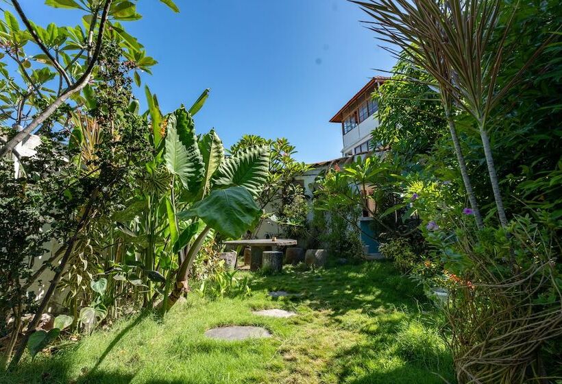 旅馆 Dragon Dive Komodo Dive Resort