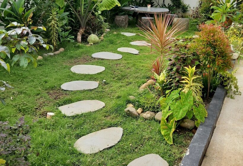 هاستل Dragon Dive Komodo Dive Resort