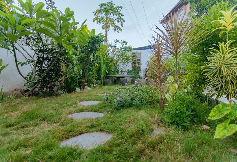 旅馆 Dragon Dive Komodo Dive Resort