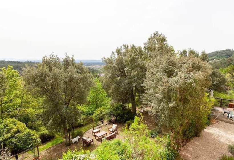 مبيت وإفطار Casa Do Cabeço