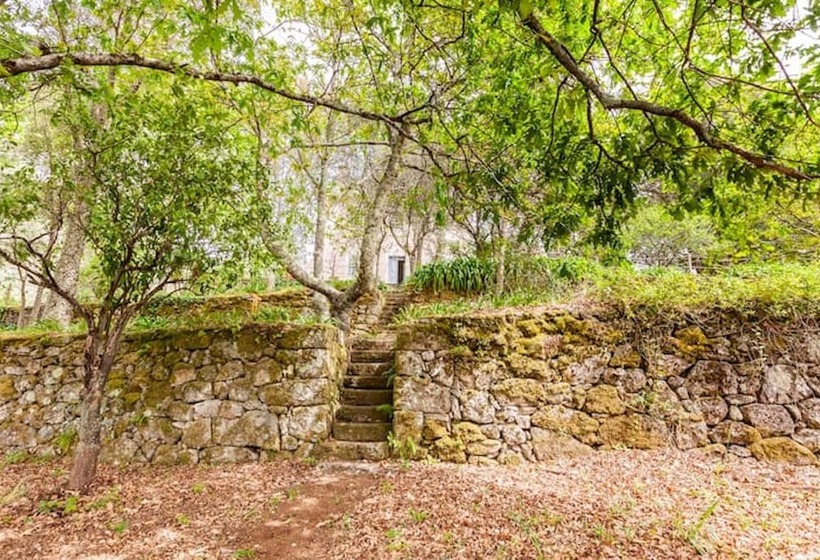 مبيت وإفطار Casa Do Cabeço