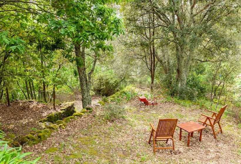 مبيت وإفطار Casa Do Cabeço