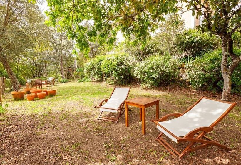 مبيت وإفطار Casa Do Cabeço