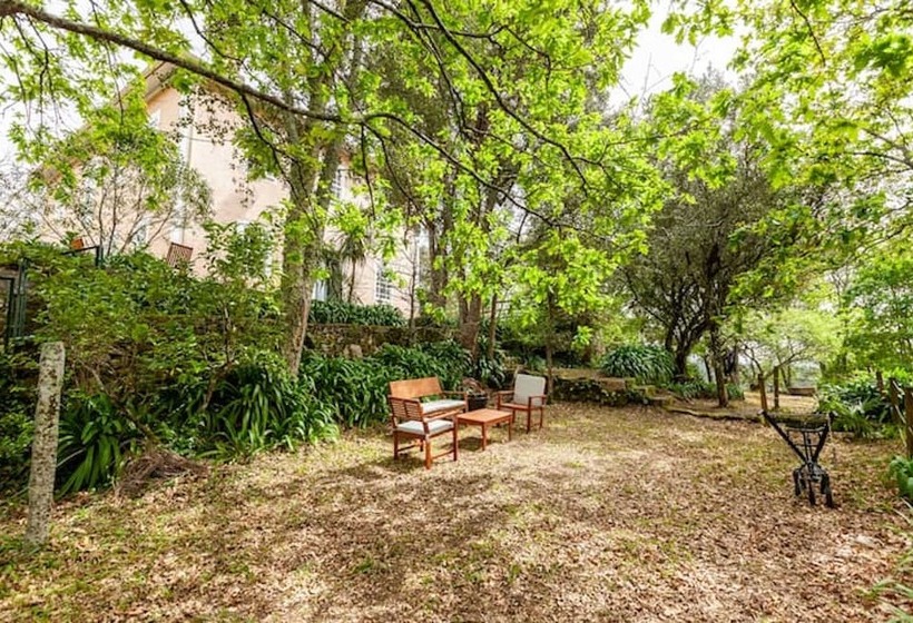 مبيت وإفطار Casa Do Cabeço