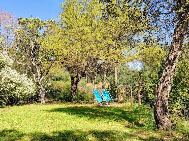 مبيت وإفطار Casa Do Cabeço