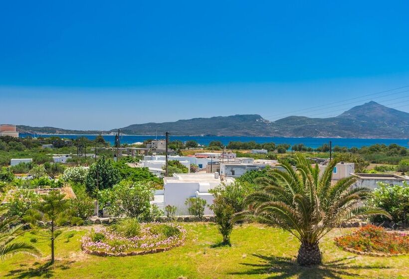 مبيت وإفطار Konstantinos