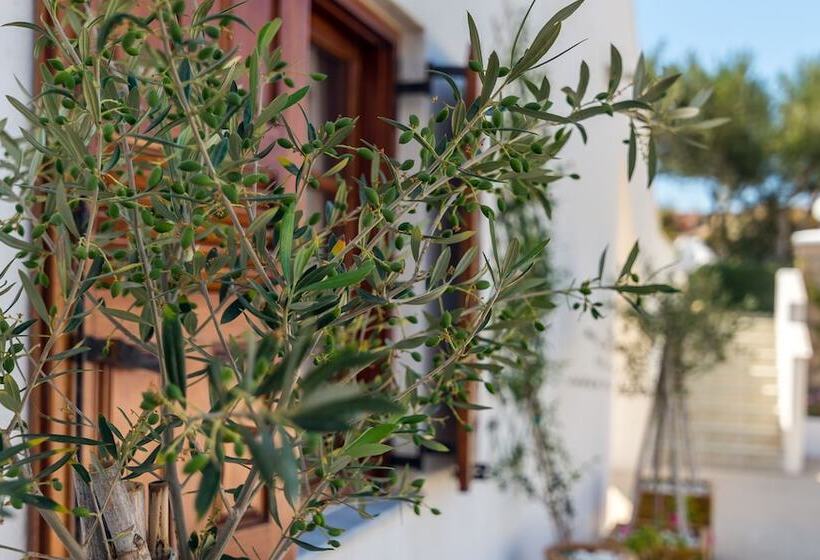 مبيت وإفطار Konstantinos