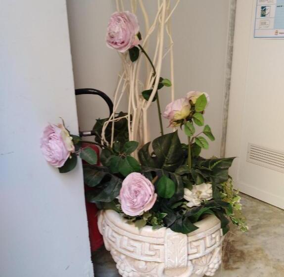 Domus Al Corso Con Servizio B&b