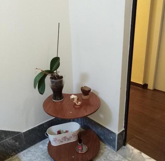 Domus Al Corso Con Servizio B&b