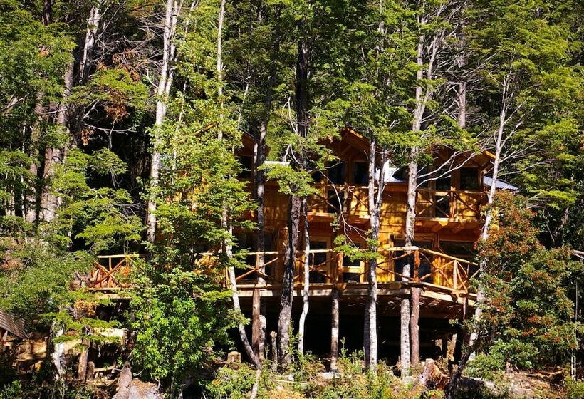 ホテル Alma Patagonia Lodge