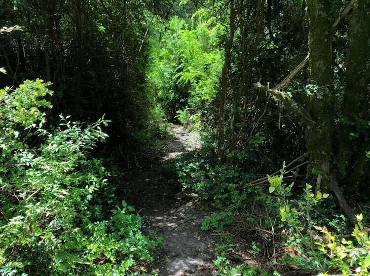 ホテル Alma Patagonia Lodge