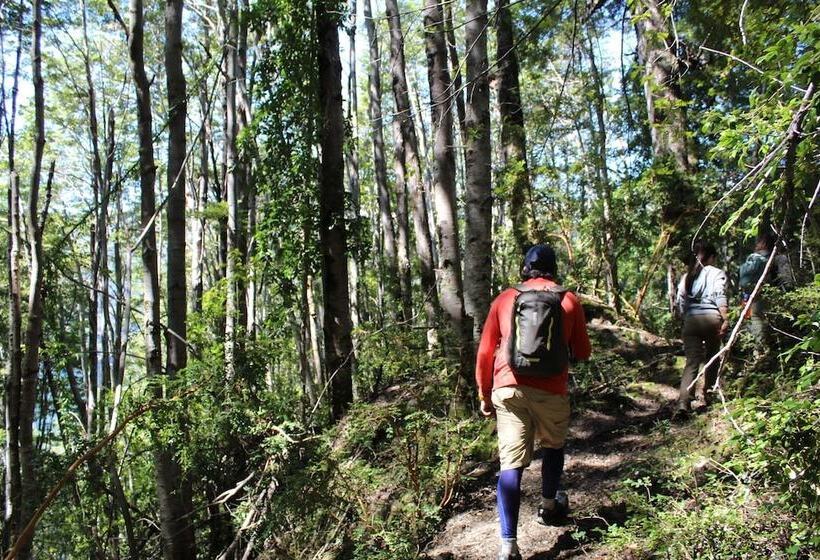 ホテル Alma Patagonia Lodge